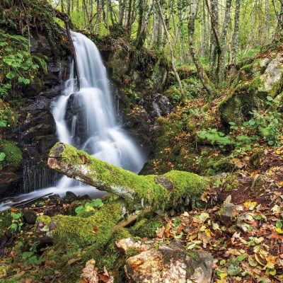 cascada